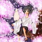sakura.jpg