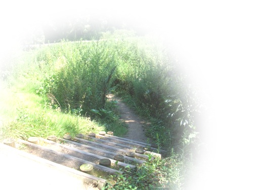 Loading Image